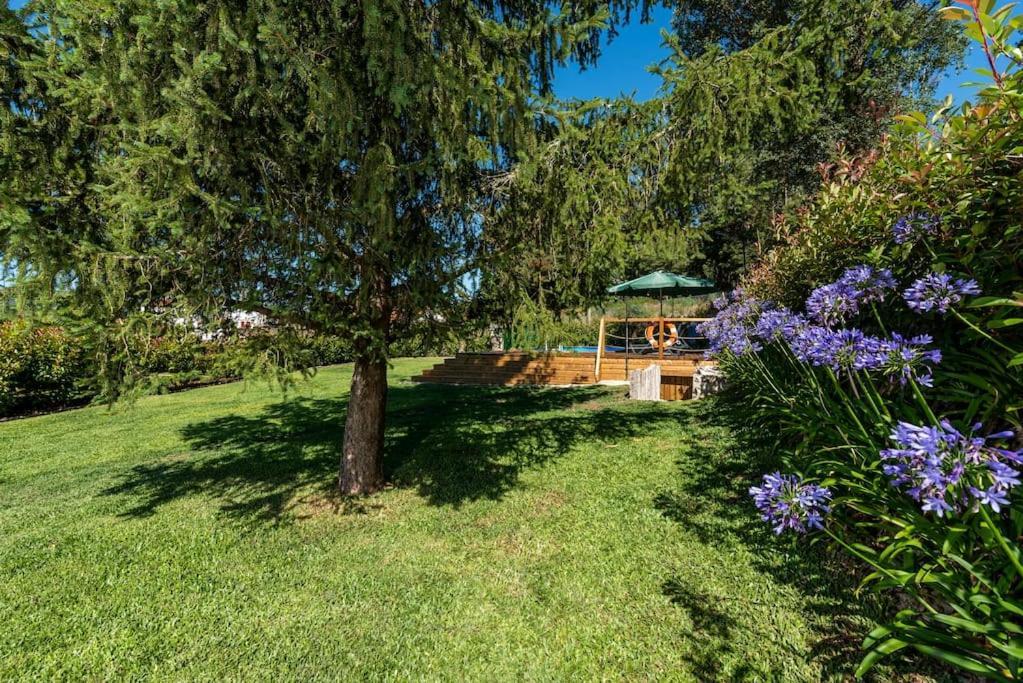 Casa De Sao Sebastiao De Covas Villa Covas  Kültér fotó
